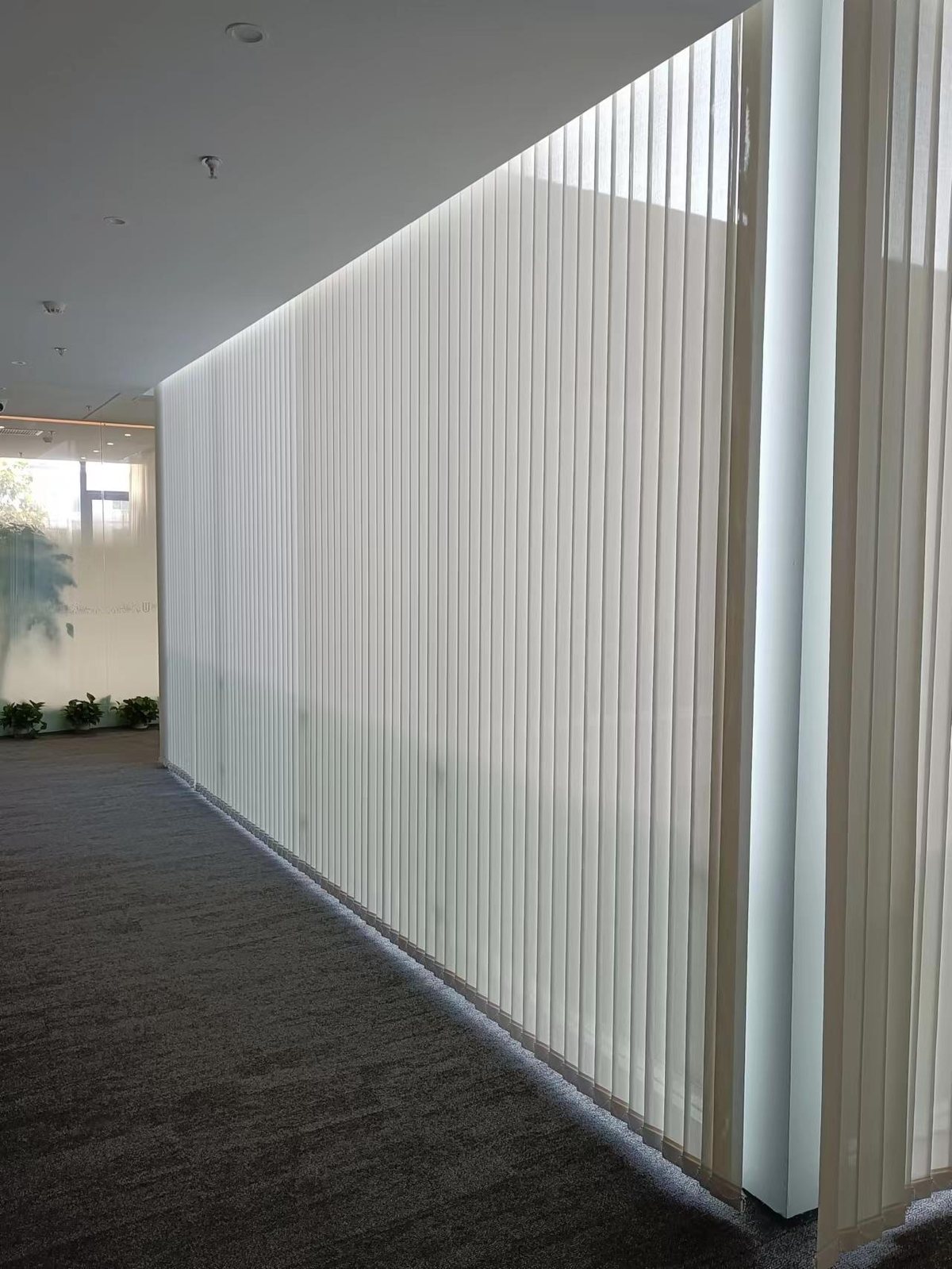 Vertical sheer blinds commercial installation